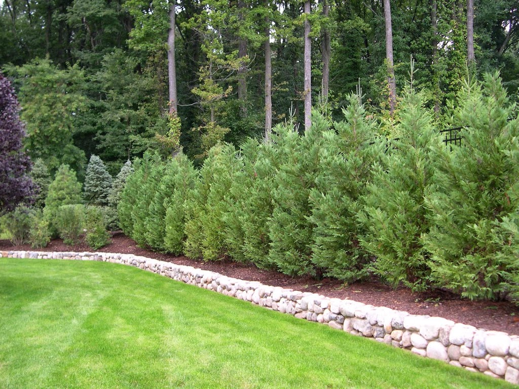 Best Trees and Plants for Privacy | Truesdale Landscaping