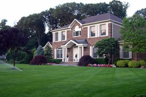 lawn-care-fertilization-disease-applications