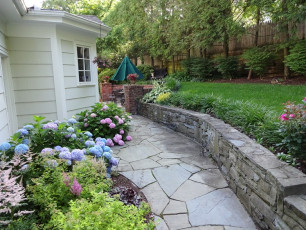Landscape, Patio and Wall